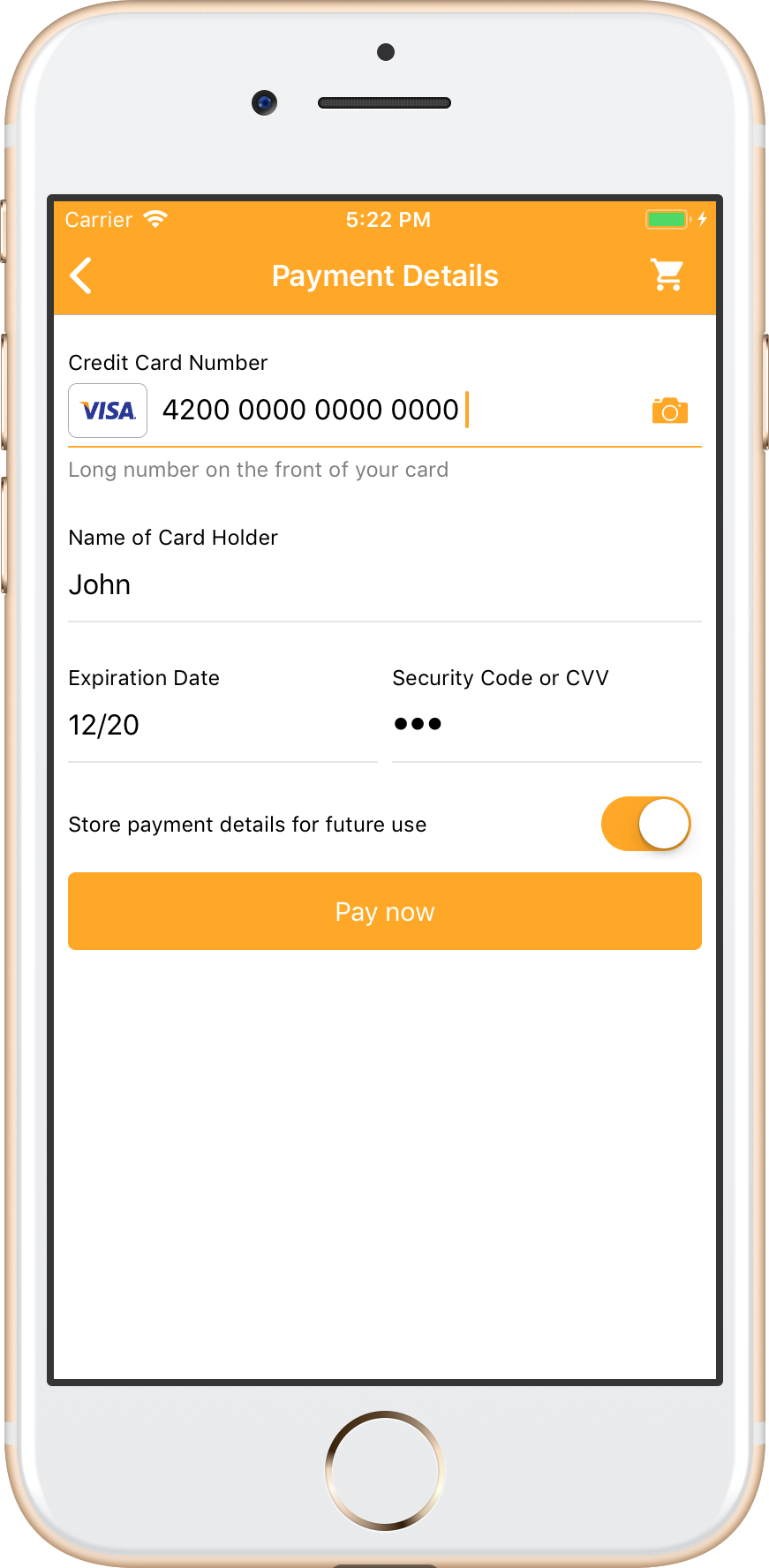 Store payment details during payment